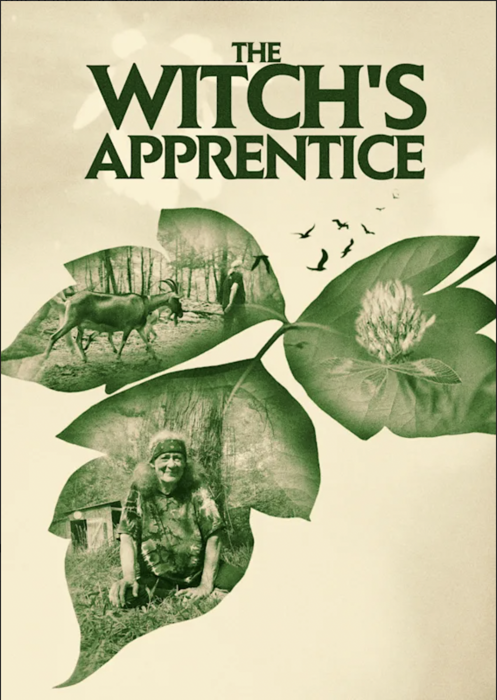 The Witch's Apprentice film poster: photographs of goats, clover, and a smiling woman seated in tall grass, printed inside three green leaves against a parchment sky.